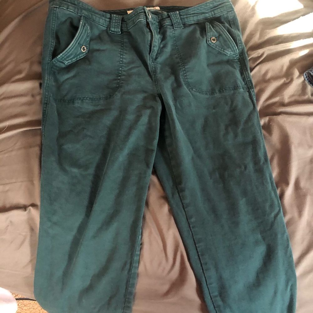 Torrid pants